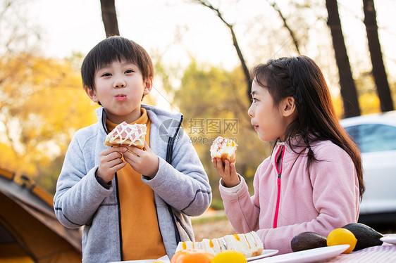 可爱的男孩女孩户外野餐图片