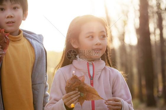 可爱的男孩女孩在户外玩耍图片