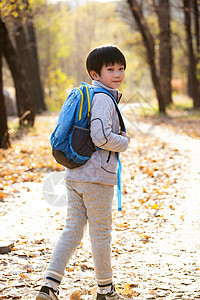 秋天户外小路上背书包的小男孩图片