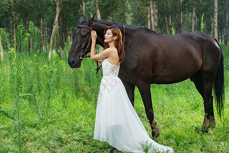 森林动物草地上漂亮的青年女人和马背景