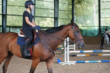 动物马准备骑马跳障碍栏的年轻女子背景