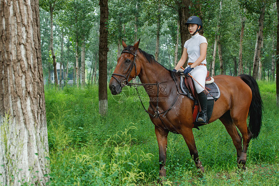 树林中骑马的漂亮年轻女孩图片