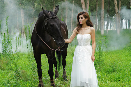 动物风光树林里青年女人牵着马背景