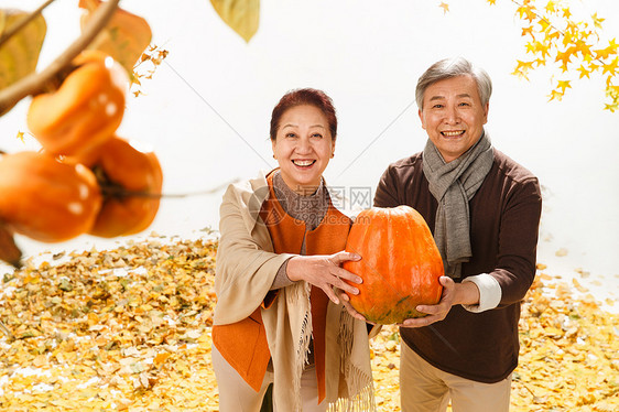 老年夫妇和南瓜图片