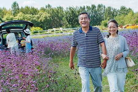 走在花海里的老年夫妇图片