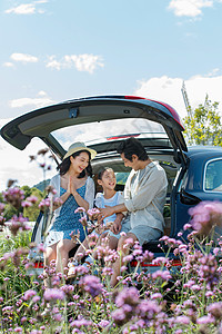 坐在汽车后备箱里玩耍的快乐家庭高清图片