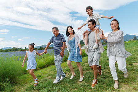 在草地上散步的幸福家庭图片