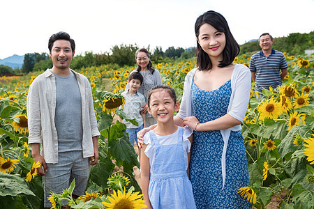 站在向日葵花海里的幸福家庭图片