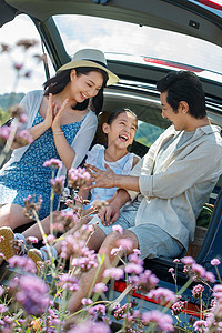 坐在汽车后备箱里玩耍的快乐家庭图片