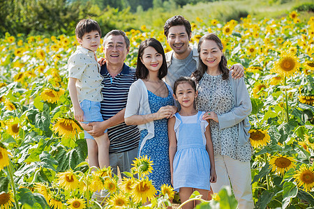 站在向日葵花海里的幸福家庭图片