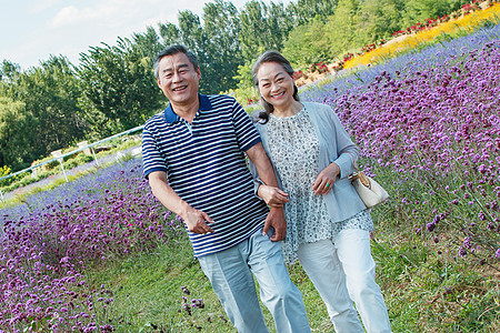 花丛中幸福的老年夫妇图片