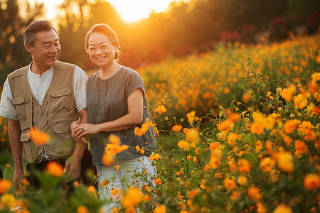 花丛中幸福的老年夫妇图片
