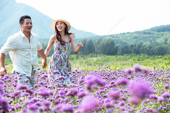 青年夫妇手牵手走在花海里图片