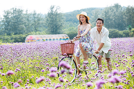 青年夫妇在花海里骑车图片