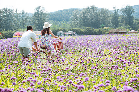 紫色裙子青年夫妇在花海里骑车背景