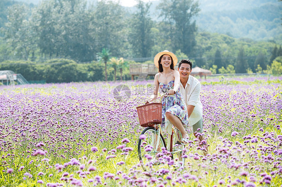 青年夫妇在花海里骑车图片