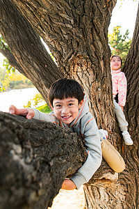 趴在树上的快乐儿童图片