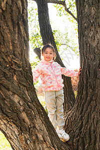 站在树上的女孩站在树上的快乐女孩背景