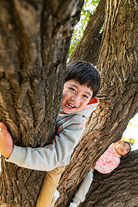 趴在树上的快乐儿童图片