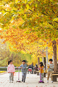 女孩在玩滑板车快乐的儿童在户外玩滑板车背景