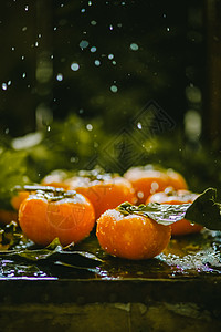 水果水珠柿子背景