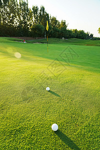 阳光下的高尔夫球场与球图片