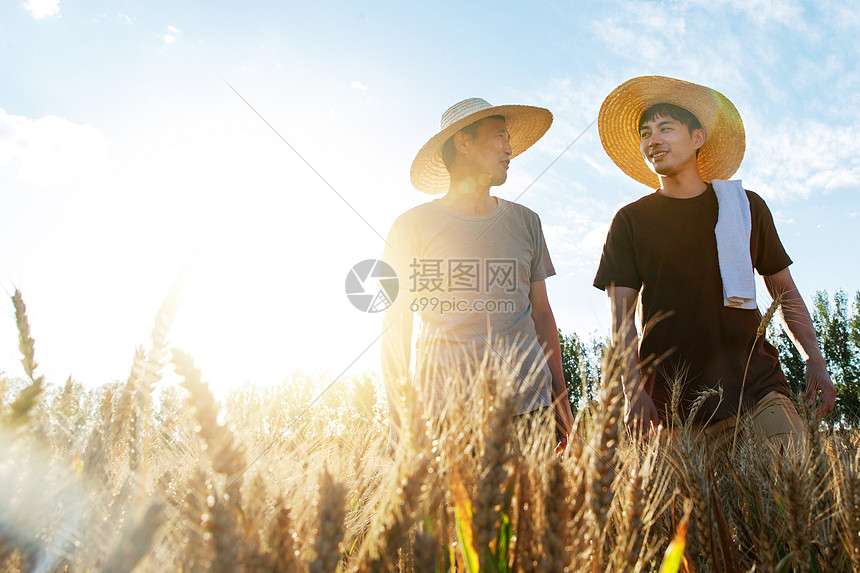 科研人员和农民在麦田里交流技术图片