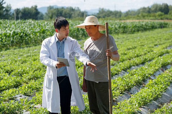 科研人员和农民在菜地里交流技术图片