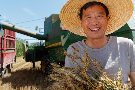 农民抱着麦穗农民洋溢着大丰收的喜悦背景
