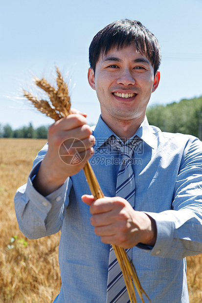 科研人员站在麦田里图片