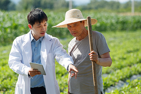 科研人员和农民在菜地里交流技术图片