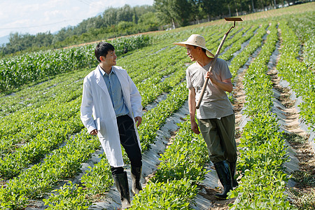 科研人员和农民在菜地里交流技术图片