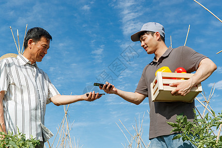 农民快递蔬菜图片