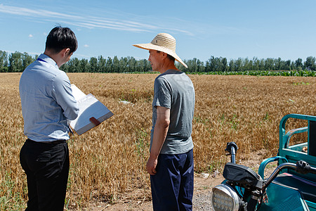 科研人员和农民在麦田旁交流图片