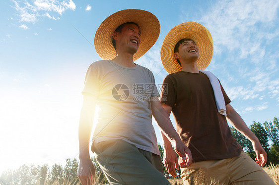 科研人员和农民在麦田里交流技术图片