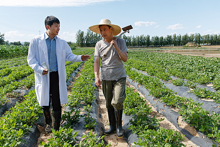 科研人员和农民在菜地里交流技术图片