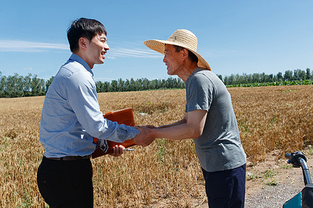 麦田里农民感谢科研人员图片