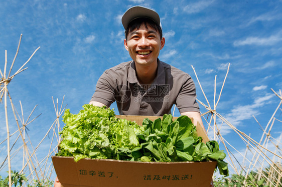 菜地里抱着新鲜蔬菜的快递员图片