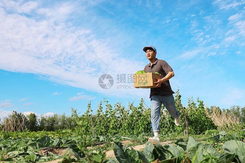 穿梭在田地间的快递员图片