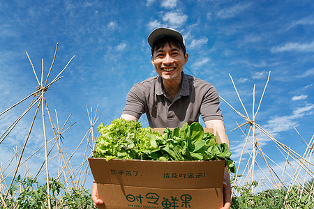 菜地里抱着新鲜蔬菜的快递员高清图片