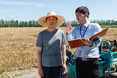 科研人员和农民在麦田旁交流图片