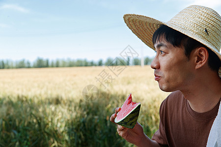 农民在田地旁休息吃西瓜图片