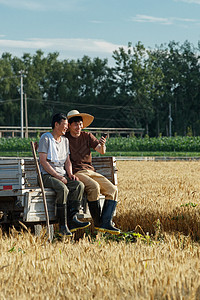 坐在车上使用手机的农民图片