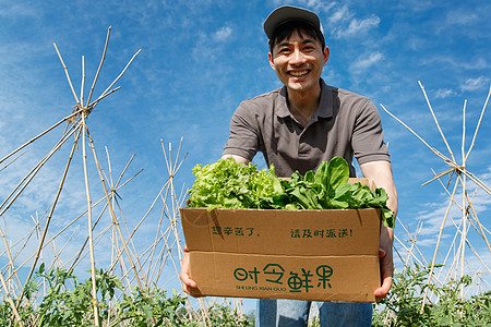 菜地里抱着新鲜蔬菜的快递员图片