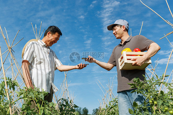 农民快递蔬菜图片