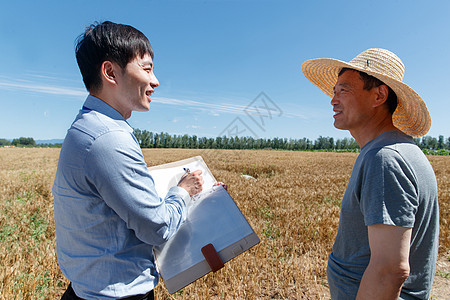 科研人员和农民在麦田里交流技术图片