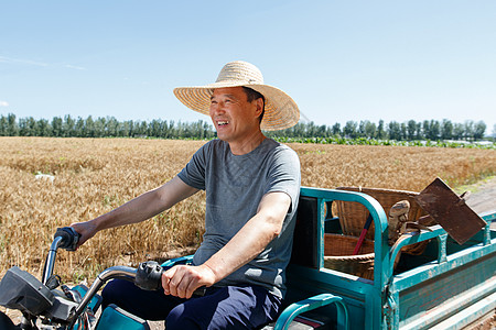 驾驶三轮车的农民图片