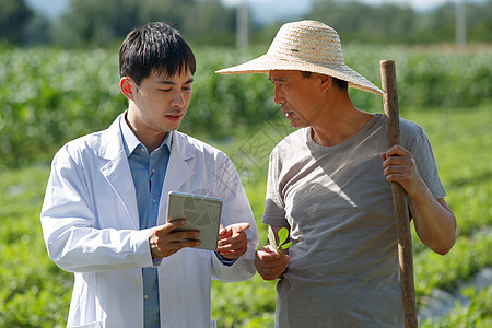 科研人员和农民在菜地里交流技术图片