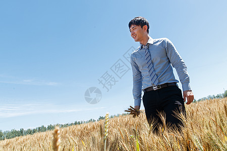 科研人员站在麦田里图片