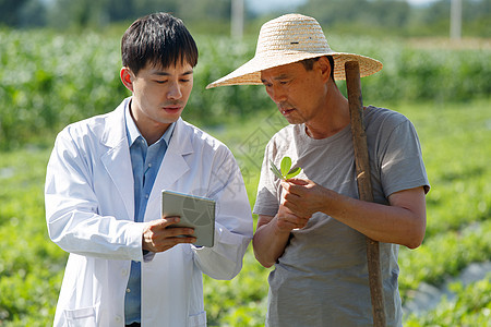 科研人员和农民在菜地里交流技术图片